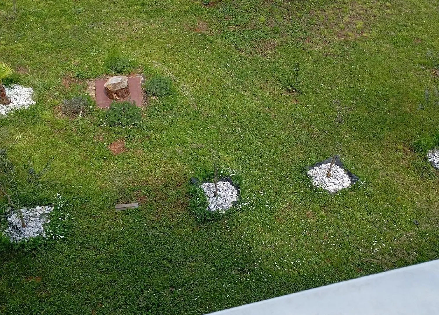 Apartman Aurora Parenzo Košinožići