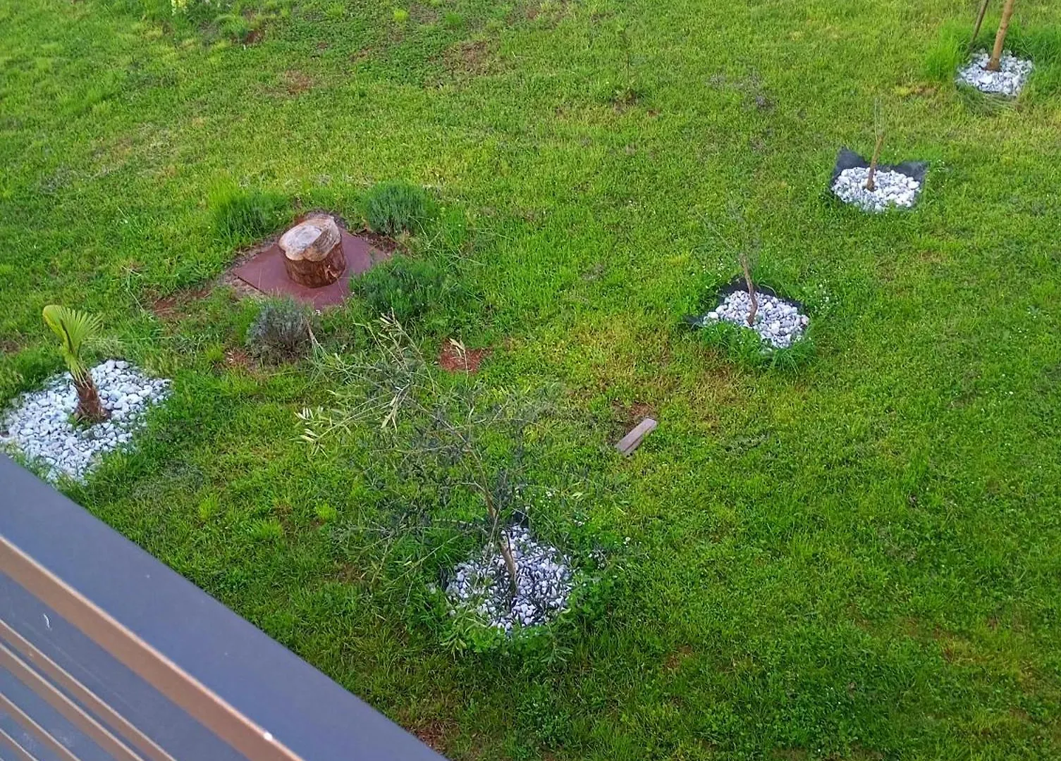 Apartman Aurora Parenzo Košinožići